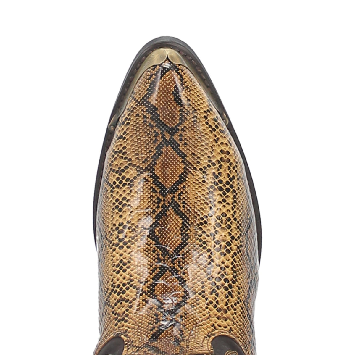 MONTY SNAKE PRINT BOOT Cover